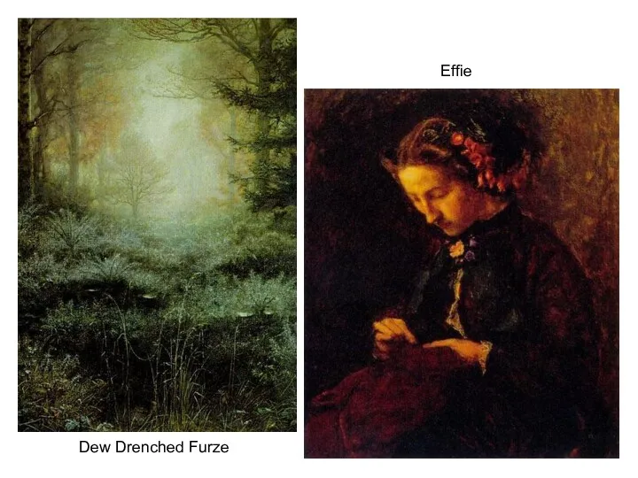 Effie Effie Dew Drenched Furze