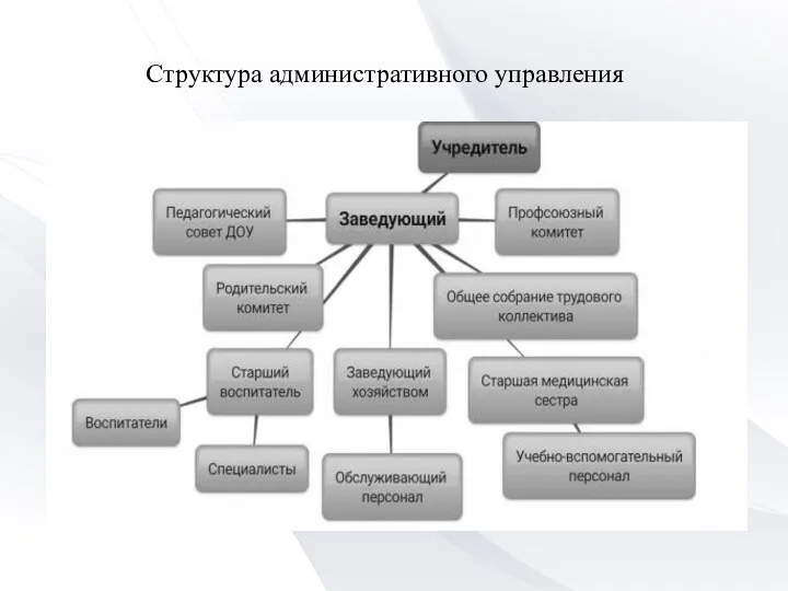 Структура административного управления