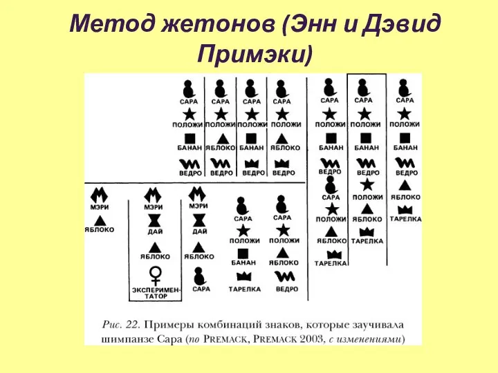 Метод жетонов (Энн и Дэвид Примэки)