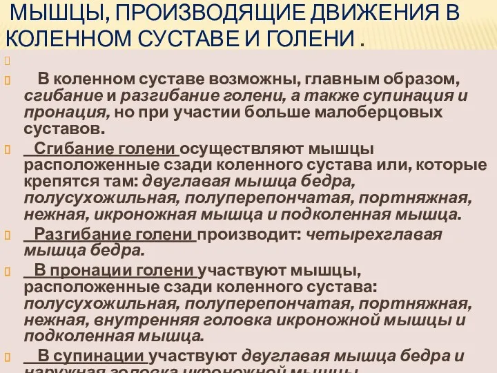 МЫШЦЫ, ПРОИЗВОДЯЩИЕ ДВИЖЕНИЯ В КОЛЕННОМ СУСТАВЕ И ГОЛЕНИ . В коленном суставе возможны,