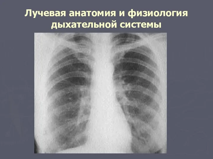 Лучевая анатомия и физиология дыхательной системы
