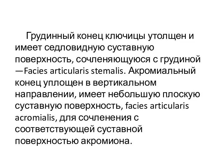 Грудинный конец ключицы утолщен и имеет седловидную суставную поверхность, сочленяющуюся