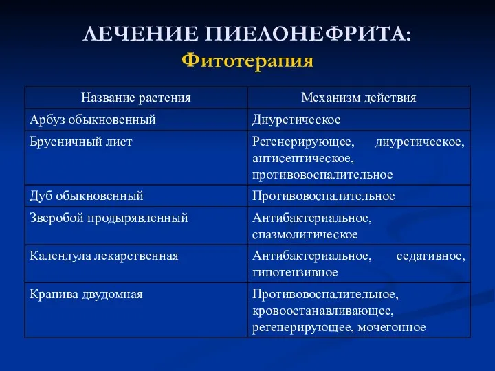 ЛЕЧЕНИЕ ПИЕЛОНЕФРИТА: Фитотерапия