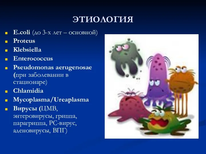 ЭТИОЛОГИЯ E.coli (до 3-х лет – основной) Proteus Klebsiella Enterococcus