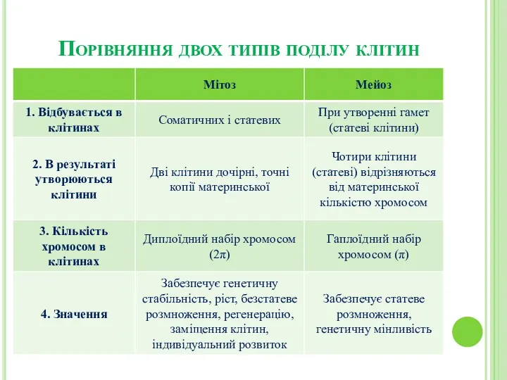 Порівняння двох типів поділу клітин