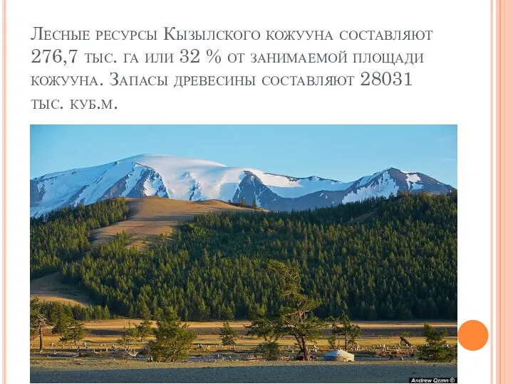 Лесные ресурсы Кызылского кожууна составляют 276,7 тыс. га или 32 % от занимаемой
