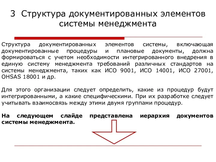 Структура документированных элементов системы, включающая документированные процедуры и плановые документы,