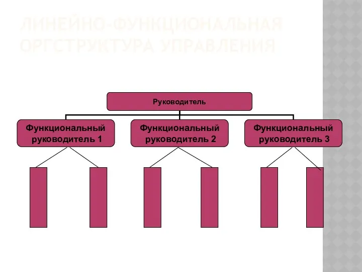 ЛИНЕЙНО-ФУНКЦИОНАЛЬНАЯ ОРГСТРУКТУРА УПРАВЛЕНИЯ