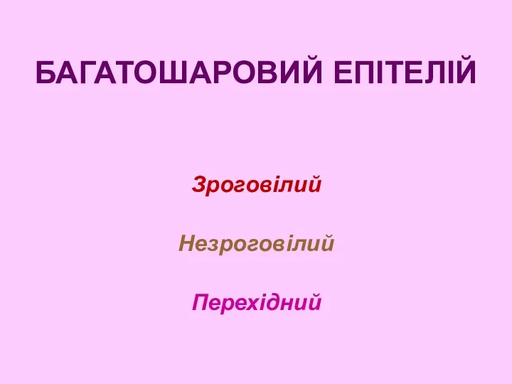 БАГАТОШАРОВИЙ ЕПІТЕЛІЙ Зроговілий Незроговілий Перехідний