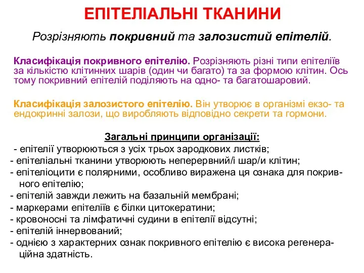 ЕПІТЕЛІАЛЬНІ ТКАНИНИ Розрізняють покривний та залозистий епітелій. Класифікація покривного епітелію.