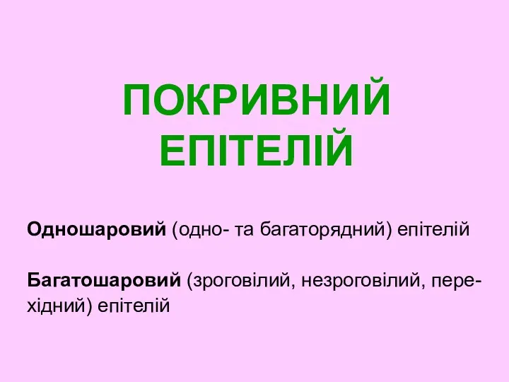 ПОКРИВНИЙ ЕПІТЕЛІЙ Одношаровий (одно- та багаторядний) епітелій Багатошаровий (зроговілий, незроговілий, пере- хідний) епітелій