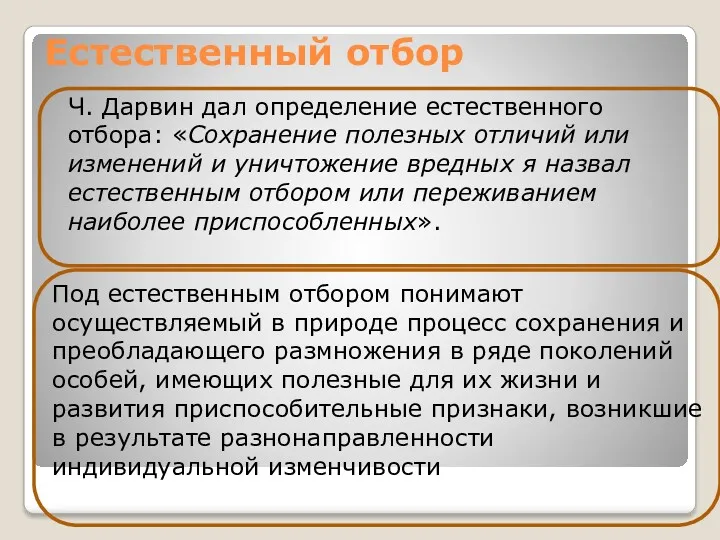 Естественный отбор