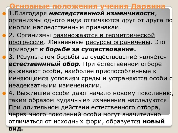 Основные положения учения Дарвина 1.Благодаря наследственной изменчивости, организмы одного вида