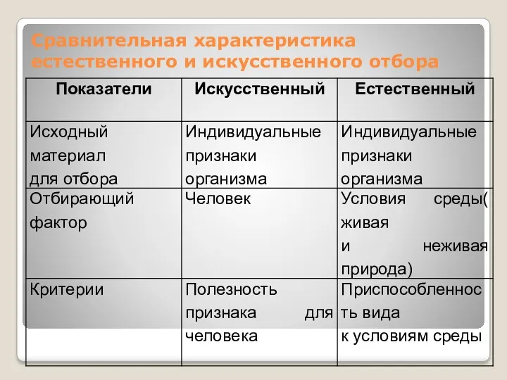 Сравнительная характеристика естественного и искусственного отбора