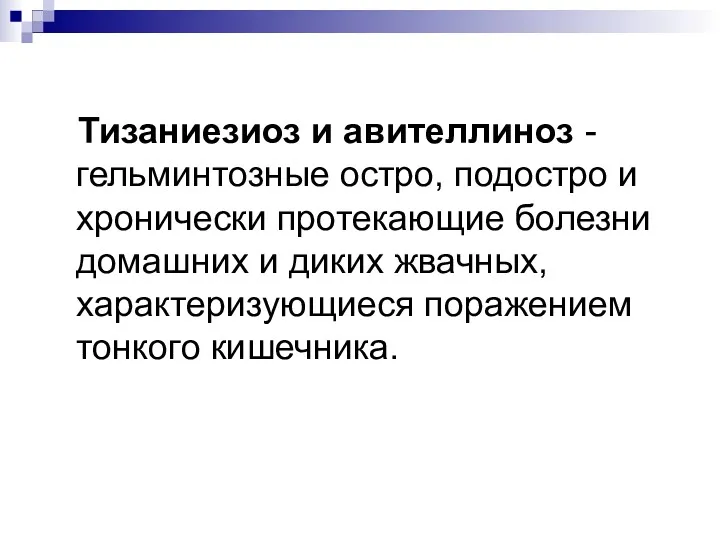 Тизаниезиоз и авителлиноз - гельминтозные остро, подостро и хронически протекающие