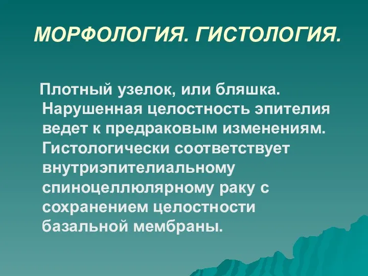 МОРФОЛОГИЯ. ГИСТОЛОГИЯ. Плотный узелок, или бляшка. Нарушенная целостность эпителия ведет