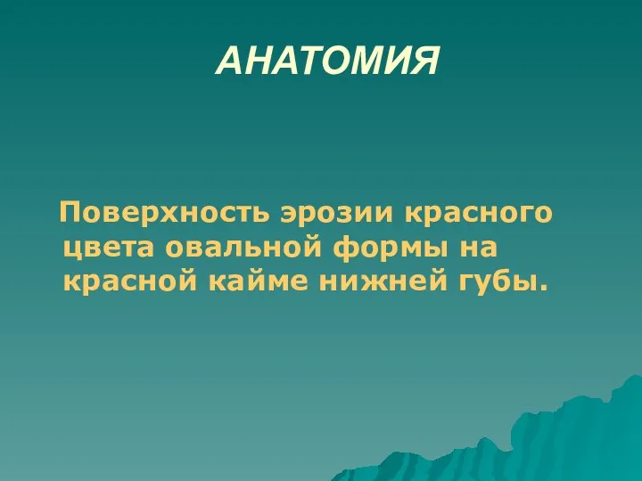 АНАТОМИЯ Поверхность эрозии красного цвета овальной формы на красной кайме нижней губы.