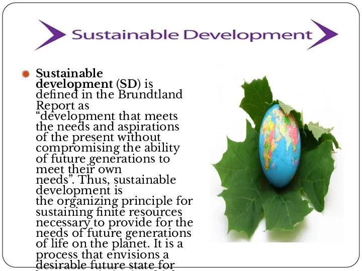 Sustainable development (SD) is defined in the Brundtland Report as
