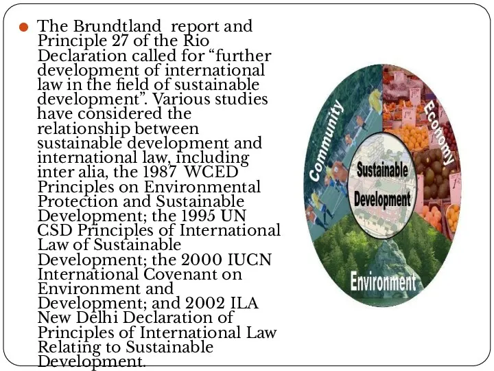 The Brundtland report and Principle 27 of the Rio Declaration