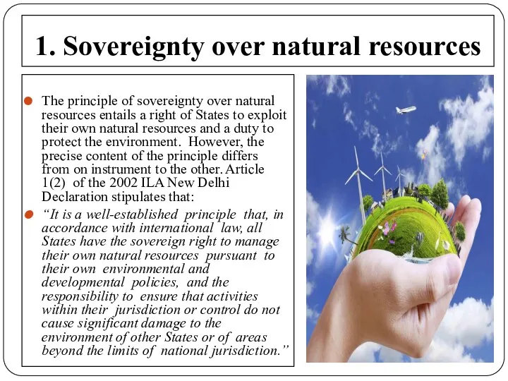 1. Sovereignty over natural resources The principle of sovereignty over