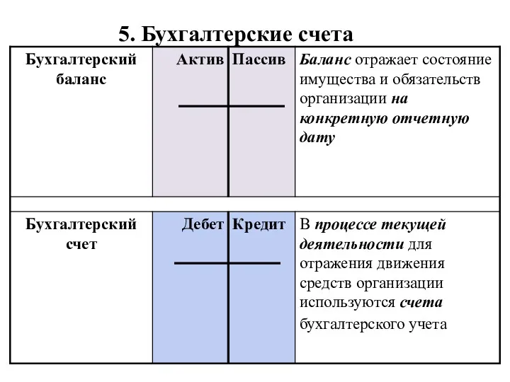 5. Бухгалтерские счета