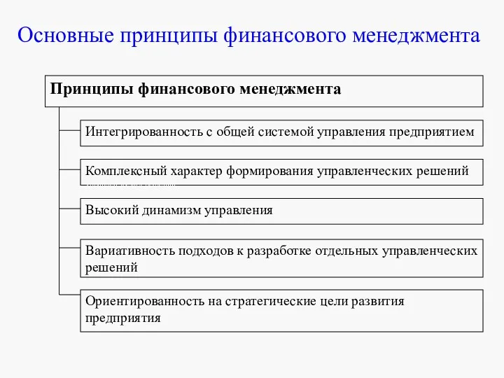 Основные принципы финансового менеджмента