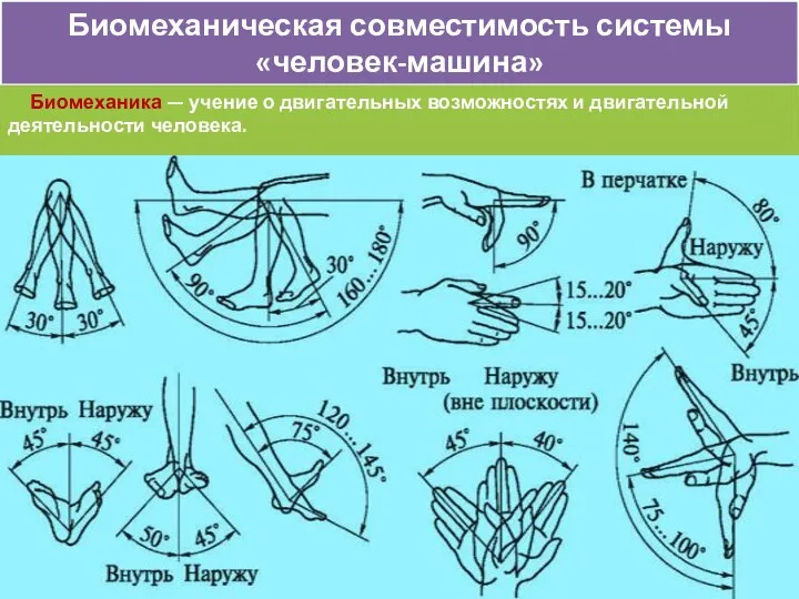 Биомеханическая совместимость системы «человек-машина» Биомеханика — учение о двигательных возможностях и двигательной деятельности человека.