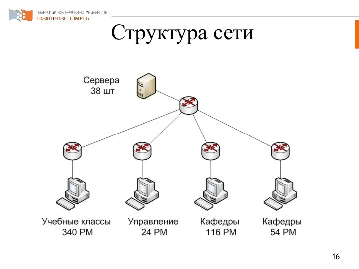 Структура сети