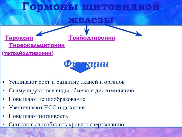 Гормоны щитовидной железы Тироксин Трийодтиронин Тиреокальцитонин (тетрайодтиронин) Функции Усиливают рост