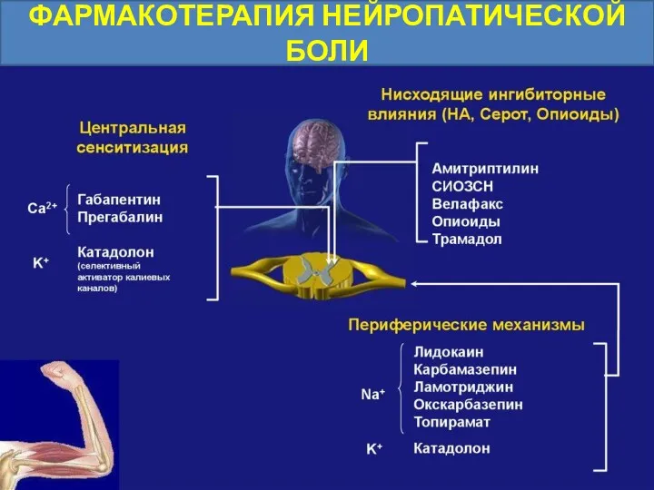 ФАРМАКОТЕРАПИЯ НЕЙРОПАТИЧЕСКОЙ БОЛИ