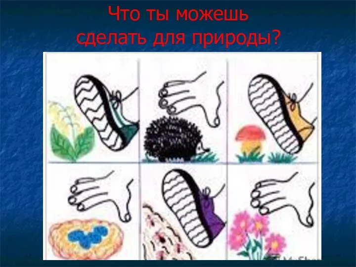 Что ты можешь сделать для природы?