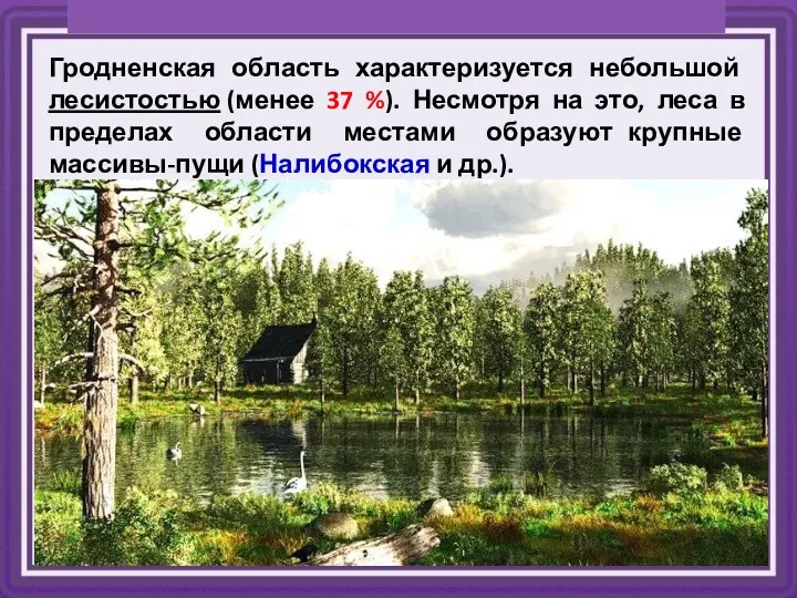 Гродненская область характеризуется небольшой лесистостью (менее 37 %). Несмотря на