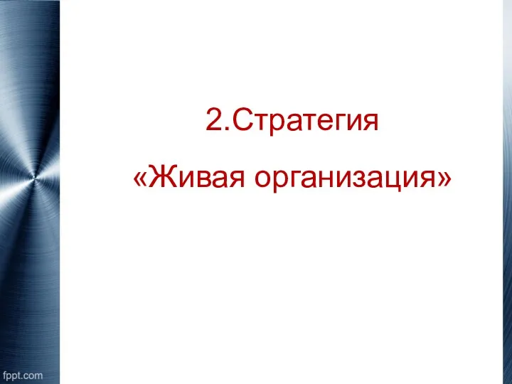 2.Стратегия «Живая организация»