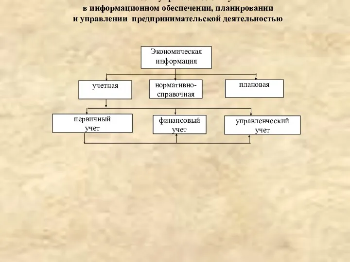 Роль и место управленческого учета в информационном обеспечении, планировании и управлении предпринимательской деятельностью