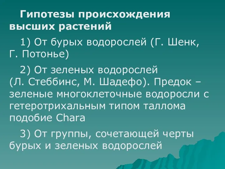 Гипотезы происхождения высших растений 1) От бурых водорослей (Г. Шенк,