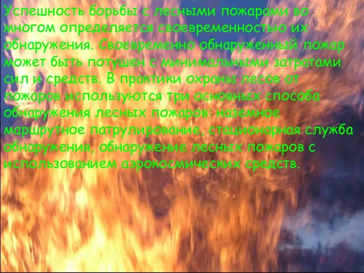 Успешность борьбы с лесными пожарами во многом определяется своевременностью их