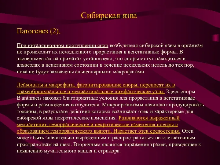 Сибирская язва Патогенез (2). При ингаляционном поступлении спор возбудителя сибирской