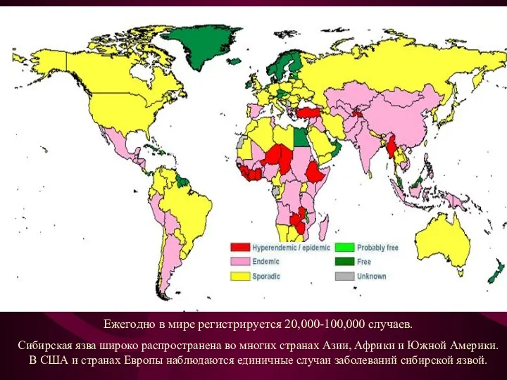 Ежегодно в мире регистрируется 20,000-100,000 случаев. Сибирская язва широко распространена