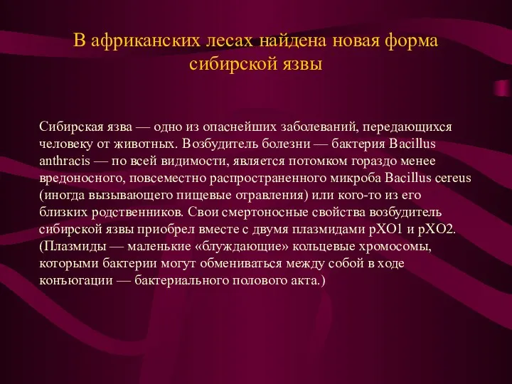 В африканских лесах найдена новая форма сибирской язвы Сибирская язва