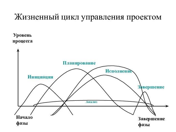 Жизненный цикл управления проектом