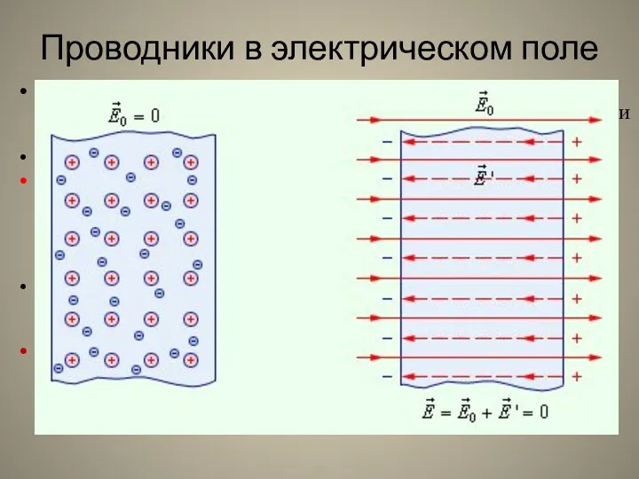 Проводники в электрическом поле Основная особенность проводников – наличие свободных