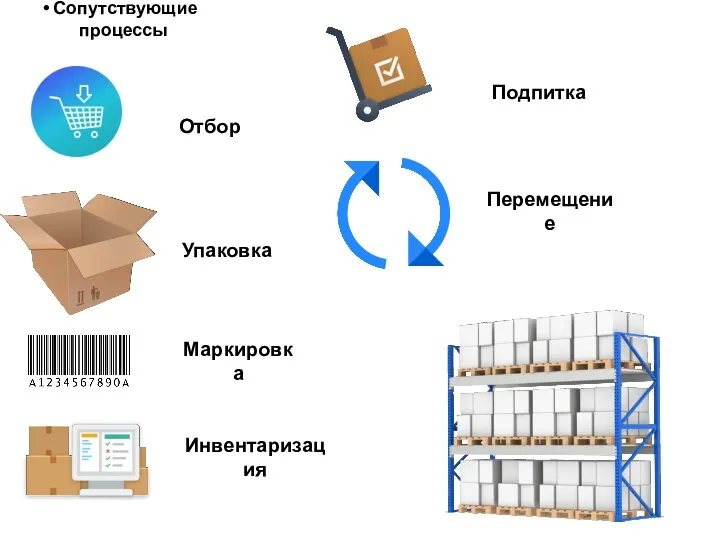 Перемещение Отбор Маркировка Инвентаризация Упаковка Подпитка Сопутствующие процессы