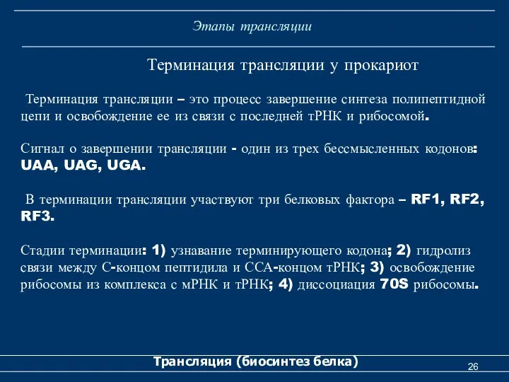 Этапы трансляции Трансляция (биосинтез белка) Терминация трансляции у прокариот Терминация