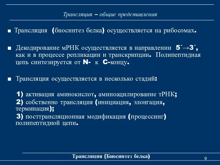 Трансляция – общие представления ■ Трансляция (биосинтез белка) осуществляется на