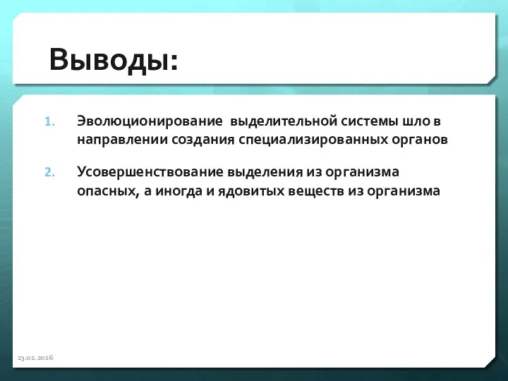 Выводы: Эволюционирование выделительной системы шло в направлении создания специализированных органов