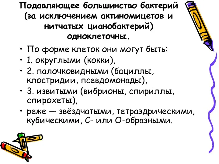 Подавляющее большинство бактерий (за исключением актиномицетов и нитчатых цианобактерий) одноклеточны.