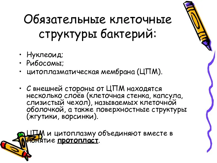 Обязательные клеточные структуры бактерий: Нуклеоид; Рибосомы; цитоплазматическая мембрана (ЦПМ). С