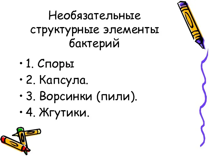 Необязательные структурные элементы бактерий 1. Споры 2. Капсула. 3. Ворсинки (пили). 4. Жгутики.