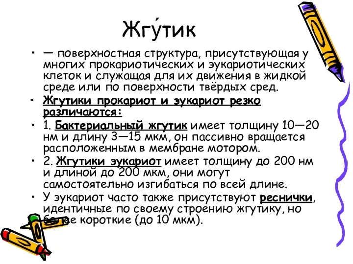 Жгу́тик — поверхностная структура, присутствующая у многих прокариотических и эукариотических