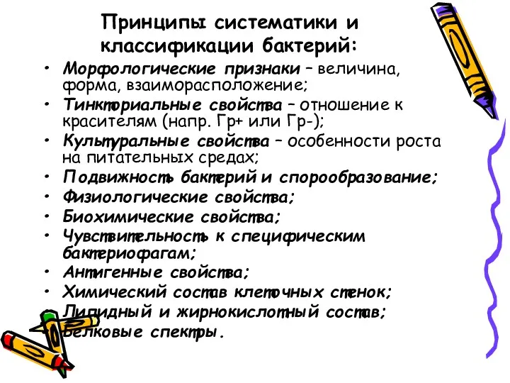 Принципы систематики и классификации бактерий: Морфологические признаки – величина, форма,